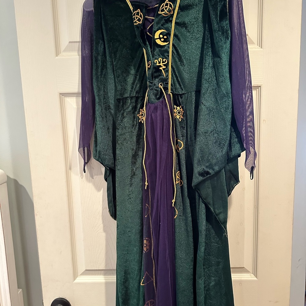 Disney Winifred Halloween costume